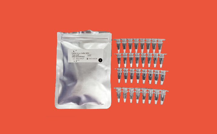 FastPCR Kit