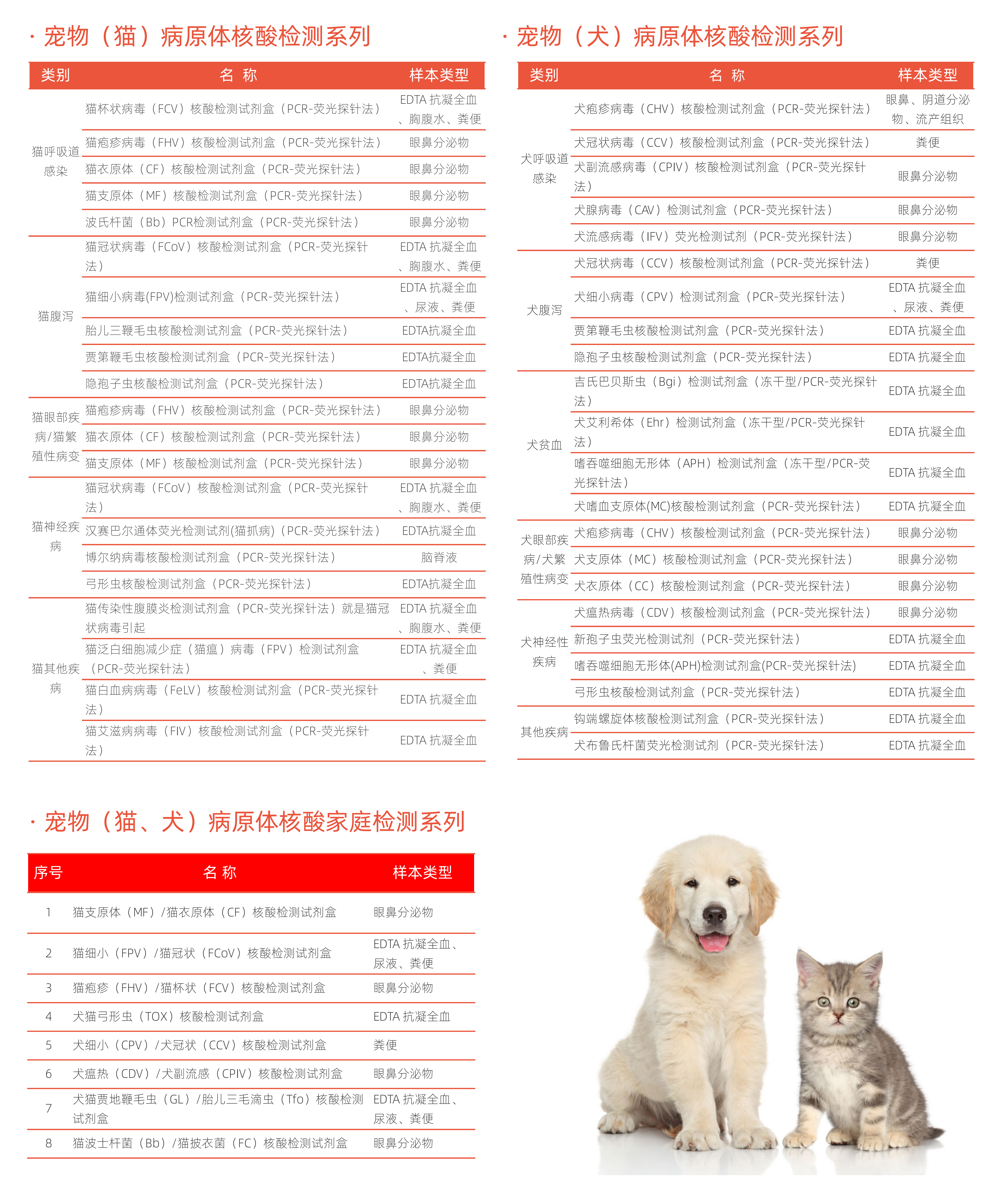 宠物病原微生物分子诊断解决方案(4P)05.21_03.png 宠物病原微生物分子诊断解决方案(4P)05.21_03.png